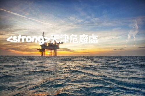 <strong>天津危廢處理公司排名前十名名單如何安全處理危險(xiǎn)廢棄物？</strong>